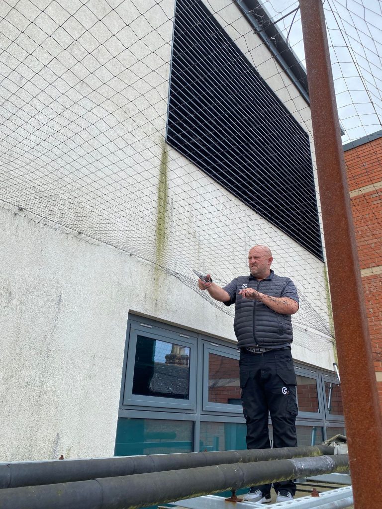 Bird Netting Pest Control