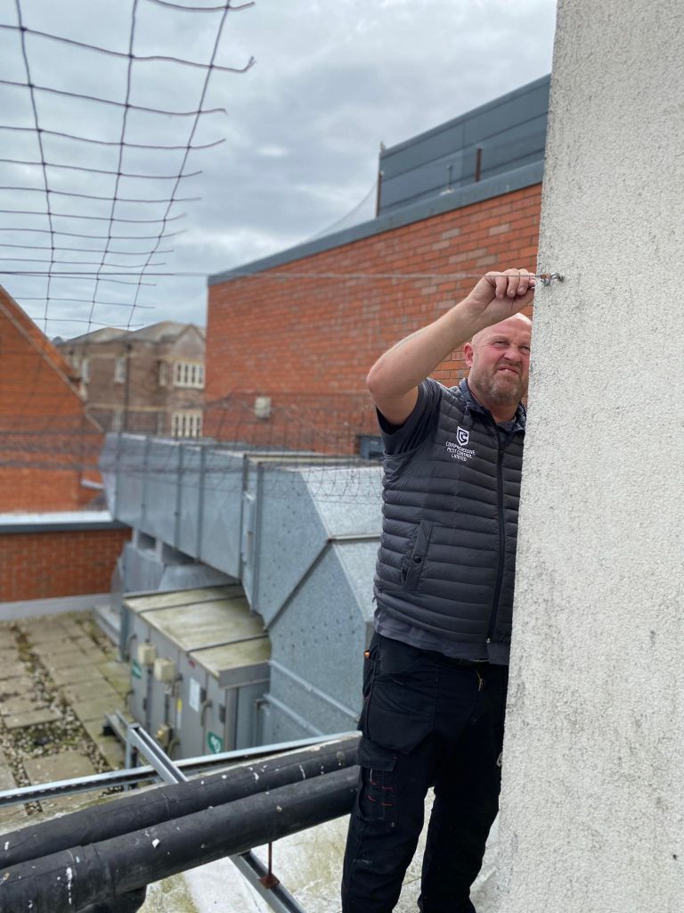 Bird Netting Lincolnshire