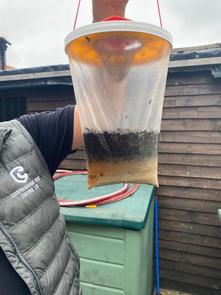 Flies Pest Control Lincolnshire